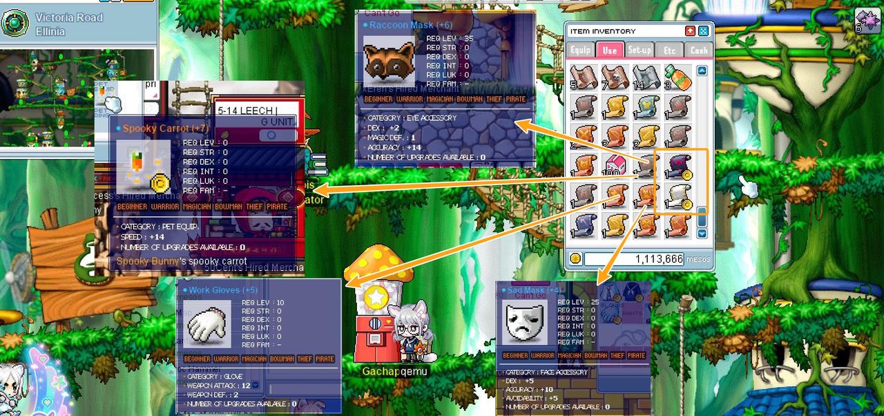 混沌の書とホワイトスクロールが出たのでSpeed14ペット装備作って、A12ｸﾞﾝﾃ、顔と目のD装備をゲットした。